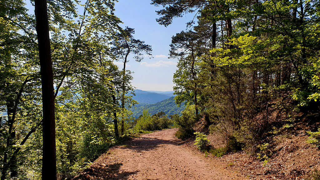 Wanderweg Waldrohrbacher Turm- und Felsenweg im Pfälzerwald in der Südpfalz