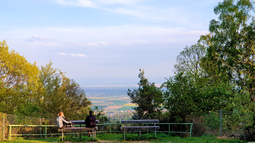 Wasgaublick unterhalb des Stäffelsbergturms bei Dörrenbach im Pfälzerwald in der Südpfalz auf dem August-Becker-Wanderweg