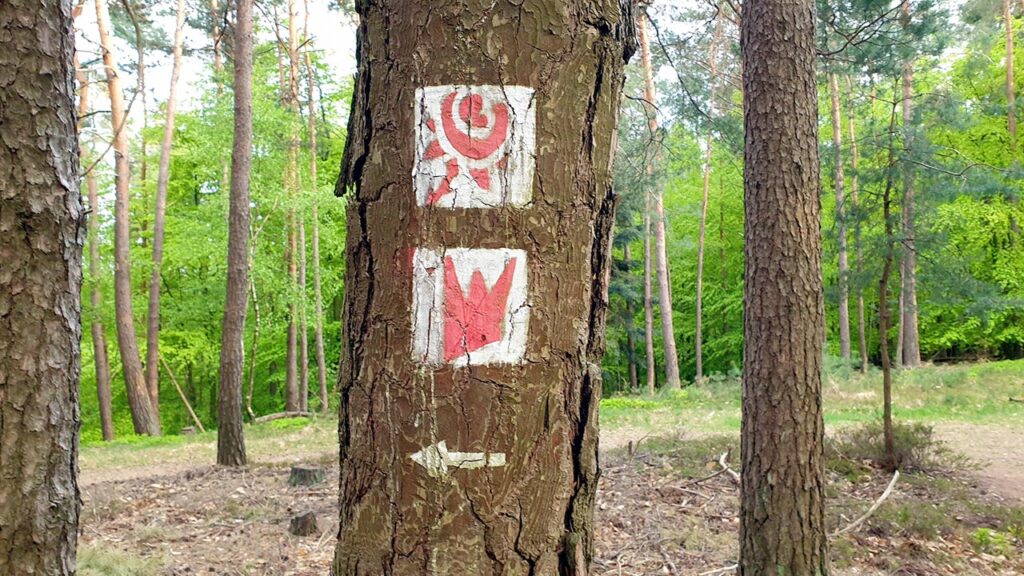 Wegweiser Dornröschen-Rundwanderweg und Gebrüder Grimm Märchenweg bei Dörrenbach im Pfälzerwald in der Südpfalz