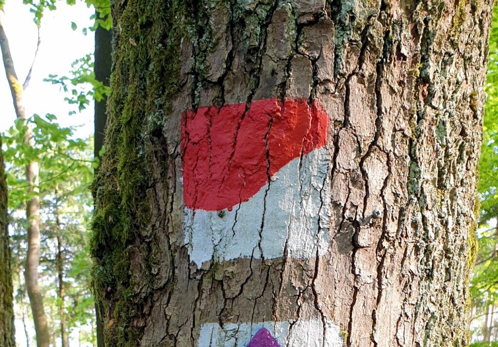 Wegweiser Prädikatswanderweg Pfälzer Weinsteig