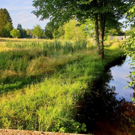 Der Rösselsbach in Ludwigswinkel auf der Wasgau SeenTour im Dahner Felsenland, Pfälzerwald in der Südwestpfalz