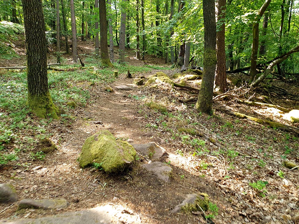 Waldweg mit moosbedeckten Felsen und Bäumen im grünen Sommerwald bei Sonnenlicht