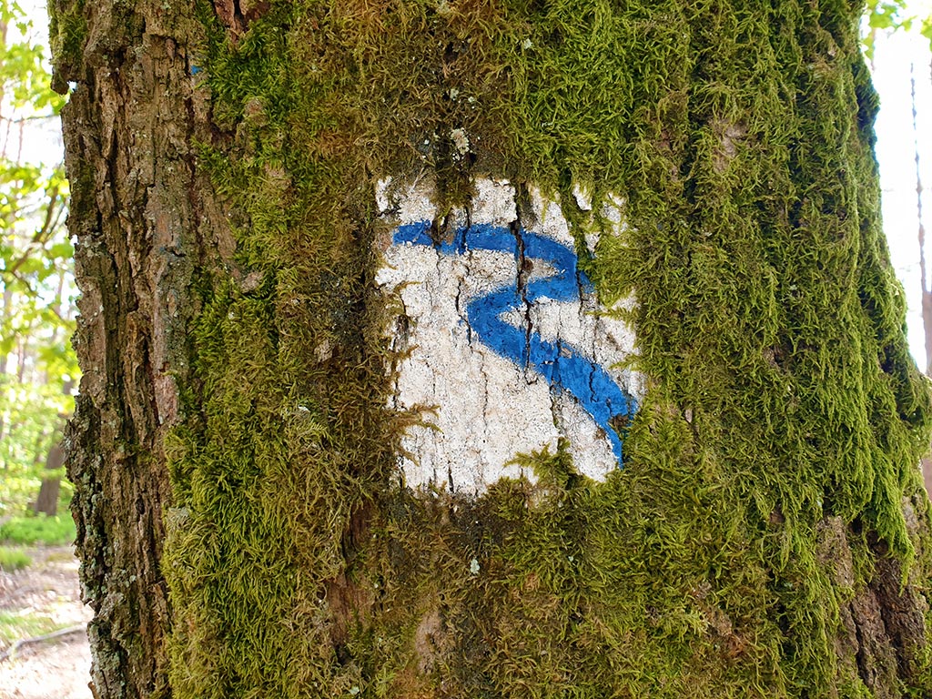 Wegweiser Premiumwanderweg Rimbach-Steig im Dahner Felsenland, Wasgau, Pfälzerwald in der Südwestpfalz