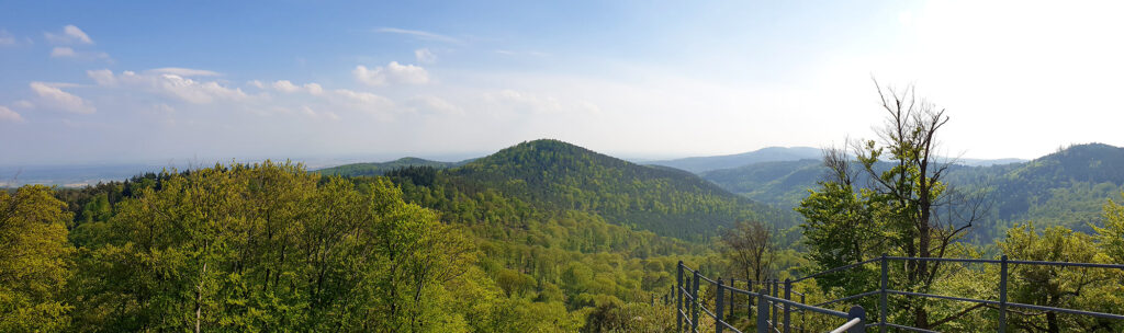 Panorama Burgruine Guttenberg bei Oberotterbach im Pfälzerwald in der Südpfalz