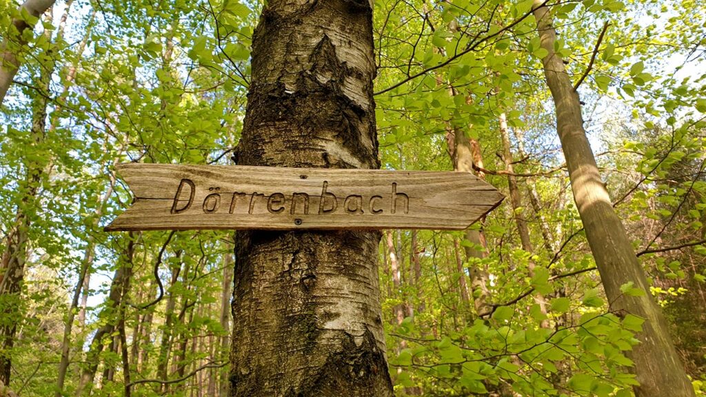 Wegweiser Dörrenbach im Pfälzerwald in der Südpfalz