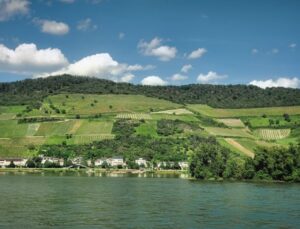 Pfalz für Aussteiger - Natur, Kultur, Gemeinschaft