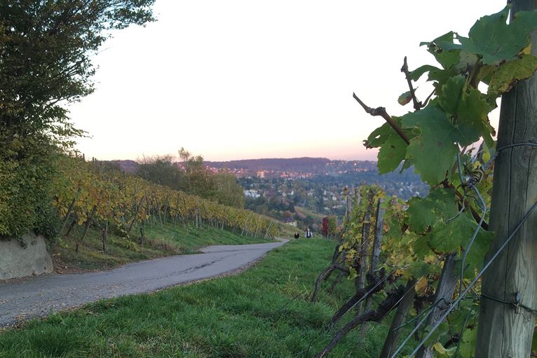 Bewusst und achtsam leben und genießen