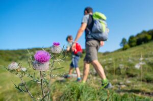 Wandern und Wellness in den Dolomiten