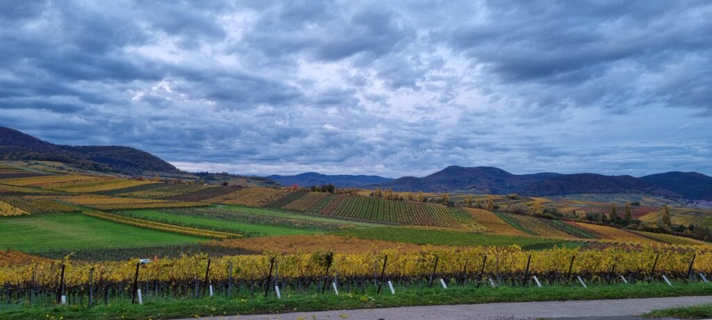Herbst in der Pfalz Strassensicherheit