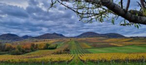 Herbst in der Suedpfalz 2