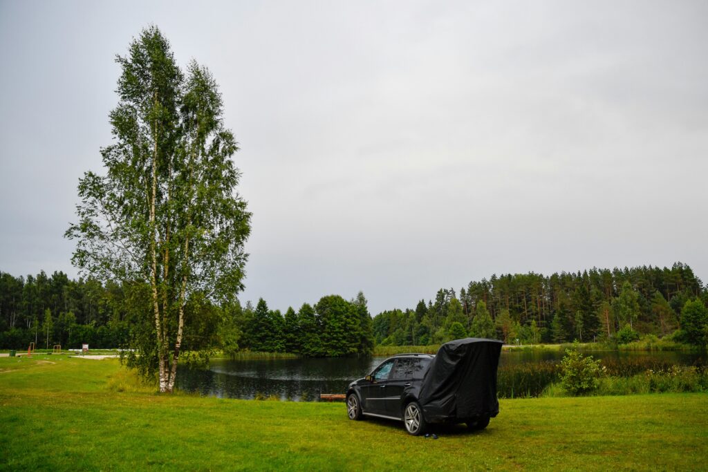 Schwarzes Auto mit abgedecktem Heck steht auf einer Wiese am See, umgeben von Bäumen unter grauem Himmel