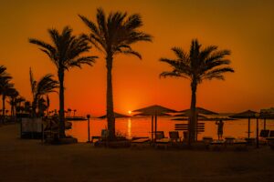 Sonnenuntergang am Strand mit Palmen, Liegen und Sonnenschirmen am ruhigen Meer